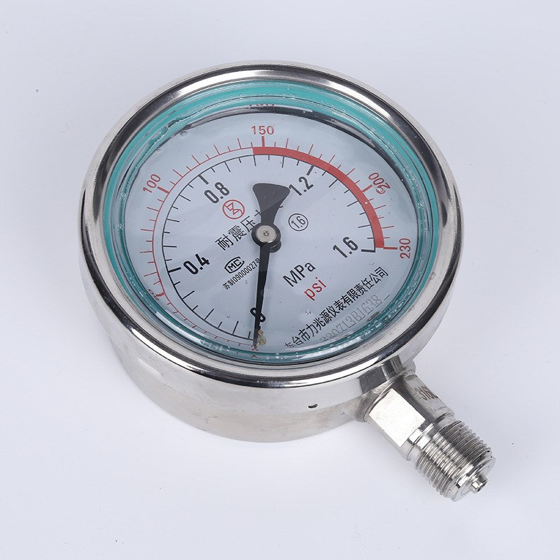 YN100B不锈钢耐震压力表 石油化工电站真空负压表气压表