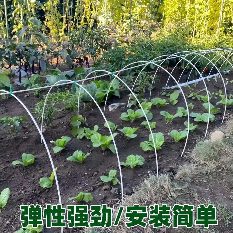 1000根大棚拱棚支架实心玻璃钢纤维条杠杆冬季小拱棚暖棚圆棒地膜