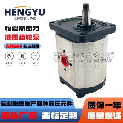 油泵SDH齿轮泵CBTs-F330F50Z1CBD1CBDaCBF泵CBTCBQ液压泵压力