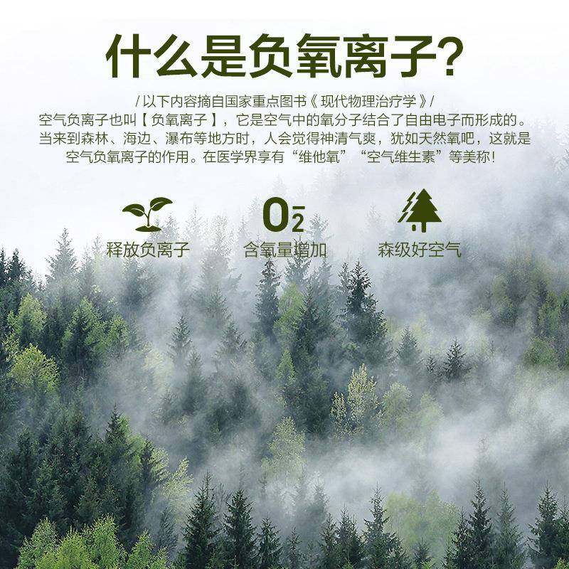负离空气净化子器车载除甲醛异烟味空卫1号氧清新迷你味静音