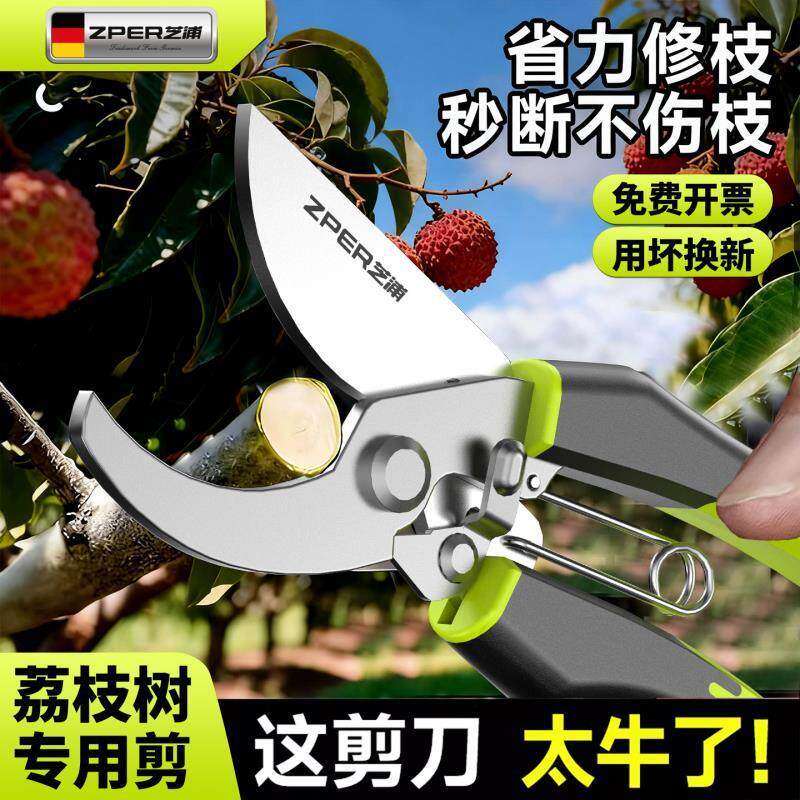 修剪树枝剪刀果树修枝剪花艺专用剪粗枝省力园林枝剪户外果剪工具图片