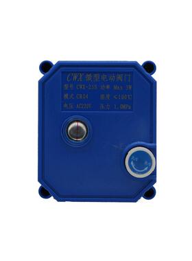 源头厂家CW-25SDN15铜分手一X体微型电动阀水处4理电工RKL程电磁