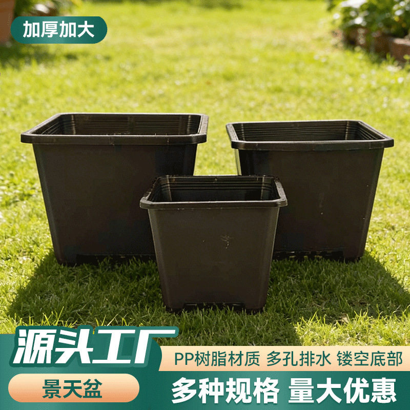 塑料方形育苗盆多肉花盆透气花圃阳台用盆栽多肉花盆透气防烂根