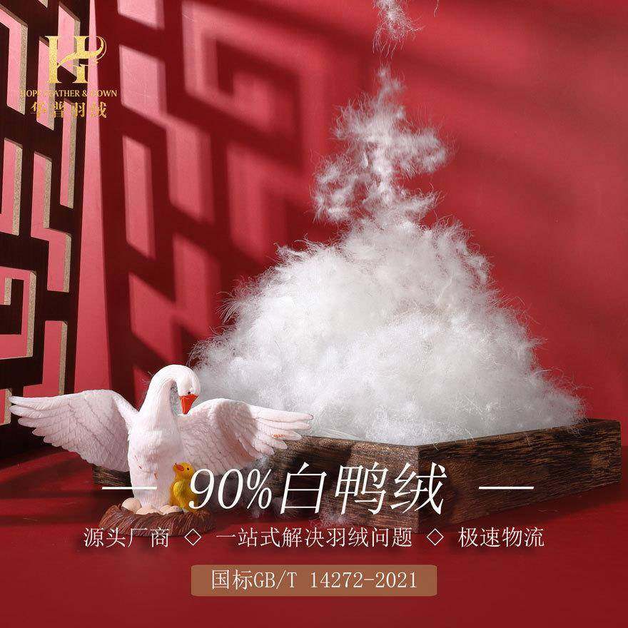 水洗90白鸭绒新国标服装标羽绒原料被子填充直销羽毛,节庆用品/礼品,新娘配件,淘宝优惠券,粉丝福利购,淘宝优惠卷