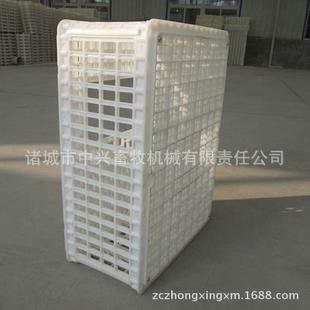 鸡鸭运输笼毛鸡运输筐塑料鸡笼筐加大加厚多种规格