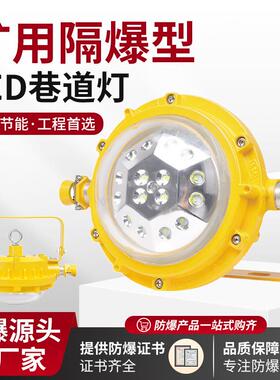 DGS48/127L(A)矿用隔爆型LED巷道灯50W/127V井下用圆形防爆照明灯
