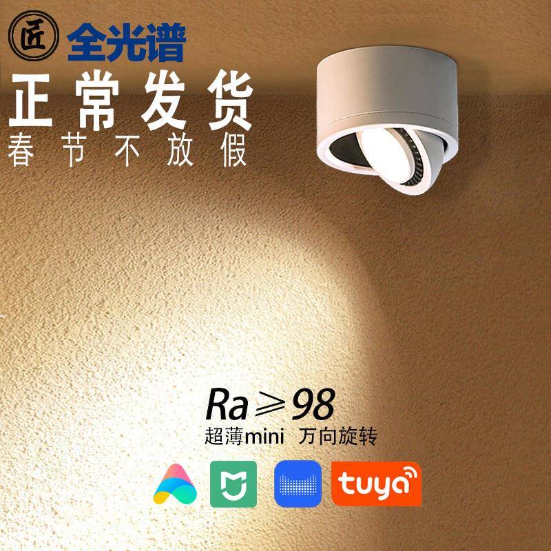 吸顶明装射灯家用小轨道店铺商用超薄筒灯客厅可调角度防眩高显色