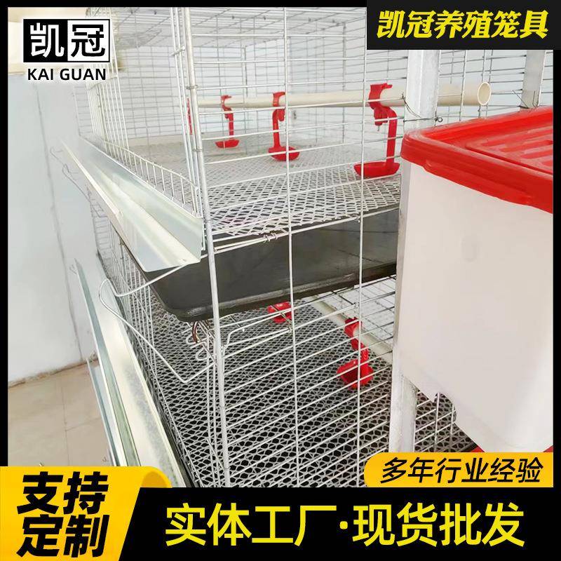 立体育雏鸡笼四层小鸡笼子小面积鸡舍养殖设备加粗加密育雏饲养笼