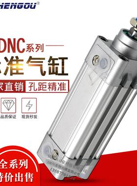 标准气缸DNC50-25-30-40-50-75-100-125-150-200-300-400-PPV-A