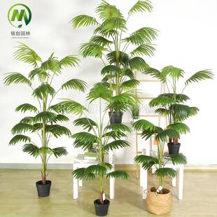 仿真大型植物装饰盆栽扇葵加州蒲葵室内客厅网红假树摆设叶扇葵