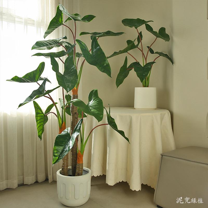 仿真绿植室内大型简约绿植摆件仿真海芋假绿植酒店大厅装饰陈设