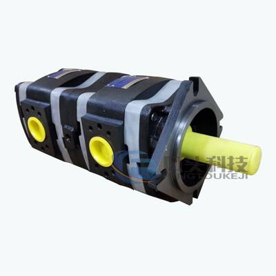 德国福伊特VOITH液压齿轮泵IPVP6-80-80101液压油泵注塑机增压泵