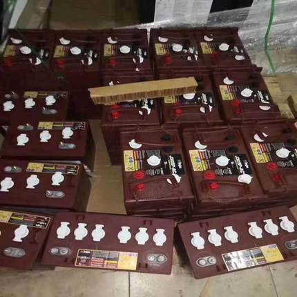 Trojan邱健蓄电池T105AGMPRO6V230AH叉车巡逻观光车用