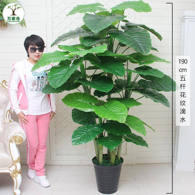 假植物盆栽招财发财树客厅装饰落地花卉假花大室内摆件塑料仿真花