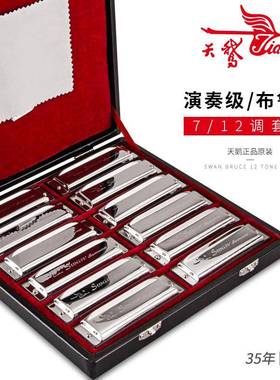 天鹅10孔布鲁斯口琴全音阶蓝调十孔7调/12调套装ABCDEFG调口琴