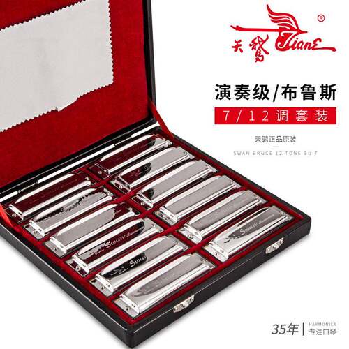 天鹅10孔布鲁斯口琴全音阶蓝调十孔7调/12调套装ABCDEFG调口琴