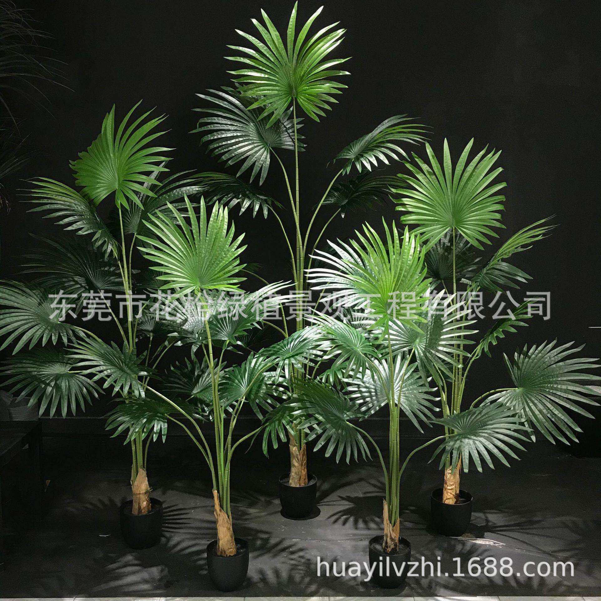 真蒲葵扇葵树叶盆栽装饰商超大型家居北欧橱窗假植物盆景,农用物资,其他肥料,淘宝优惠券,粉丝福利购,淘宝优惠卷