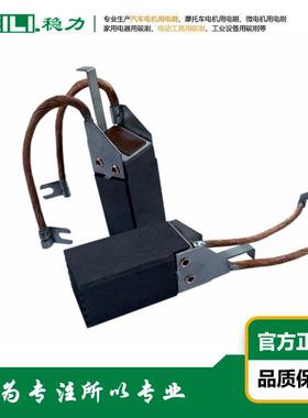WEILI.稳力供应电厂汽轮发电机用电刷碳刷碳刷架LFC554国产化