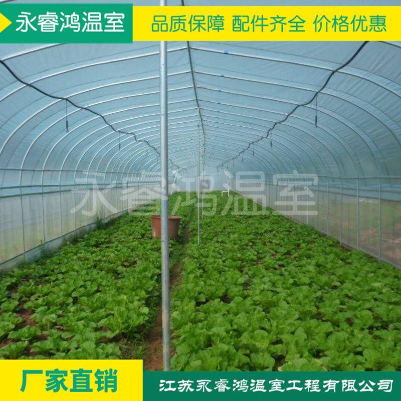 新品塑料薄膜连栋玻璃温室连体大棚钢架大棚温室大棚