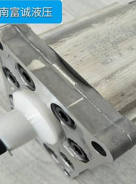 丹佛斯齿轮泵SNW3NN/044RN01BLNNCACANNNN/NNNNN磨煤机齿轮泵现货