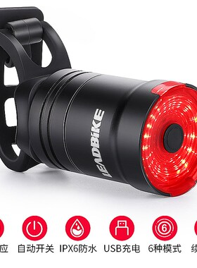 Leadbike印象骑行智能感应自行车刹车尾灯USB充电防水夜骑警示灯