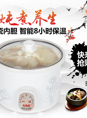 免看管一键全自动煮粥锅白瓷电炖锅煲汤慢炖锅陶瓷煲糖水bb粥燕窝