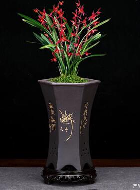 子紫陶砂花盆带底座QJX黑色刻绘兰花君绿萝园艺花卉绿植个性兰瓷