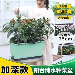 大容量种菜专用盆邮根植系种植盆种菜神种器箱工厂直销包厂家直供