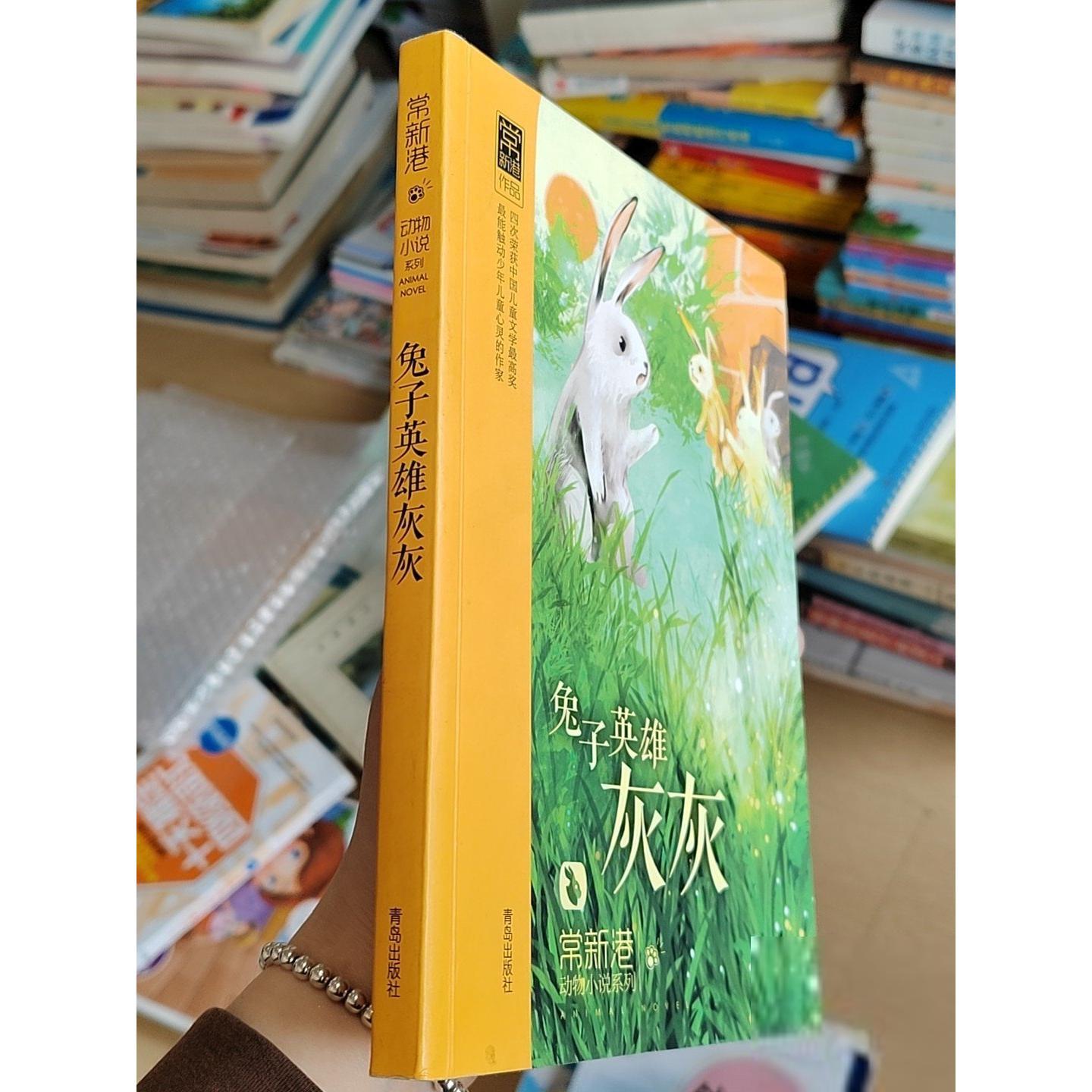 正版二手实拍兔子英雄灰灰常新港  著9787543693173青岛出版社图片