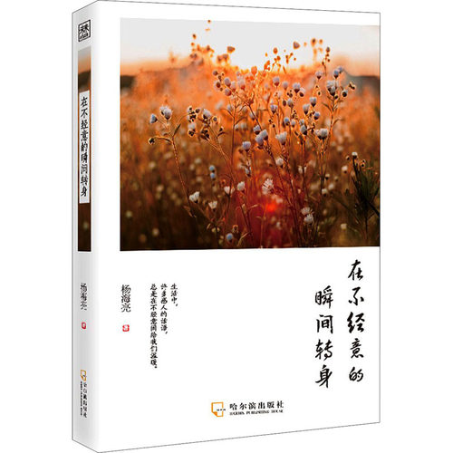 散文集：在不经意的瞬间转身