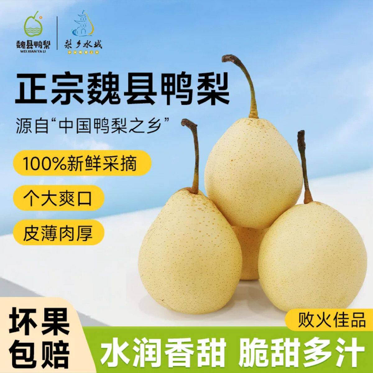 正宗河北邯郸魏县精品大鸭梨产地直发精品鸭梨脆甜多汁现摘现发,水产肉类/新鲜蔬果/熟食,梨,淘宝优惠券,粉丝福利购,淘宝优惠卷