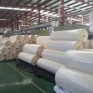 干蒸乳胶片材卷材水洗沙发填充间棉发全国透气