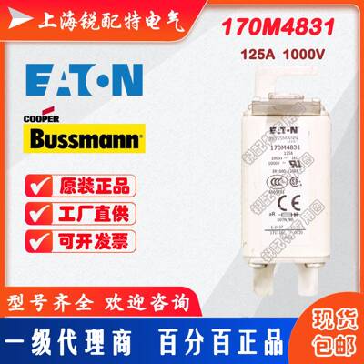 170M4831快速熔断器1000V125A巴斯曼BUSSMANN快速熔断器