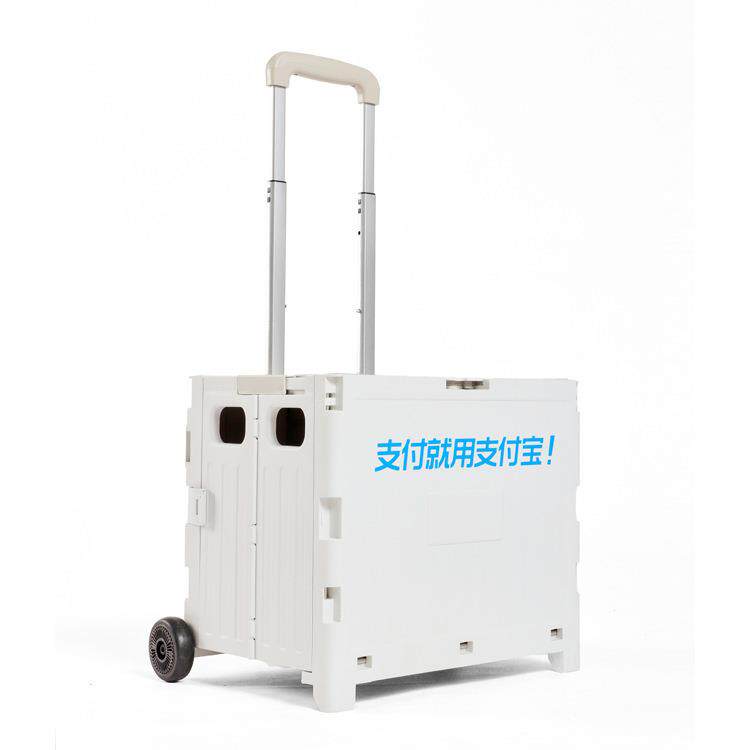 2轮折叠购物车爬楼便携菜篮拉杆车摆摊手拉车家用小推车