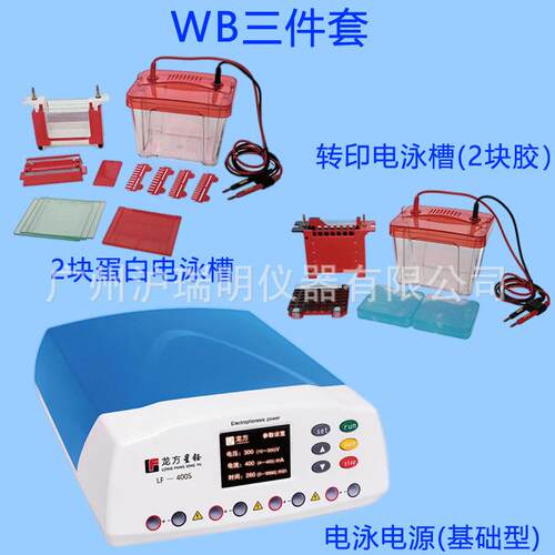 WB实验电泳槽三件套LF-400S+Mini2+ZY03转印电源基础型套装