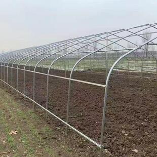 温室钢架大棚骨架蔬菜种植连栋棚牛羊保温棚养殖大棚椭圆管育苗棚