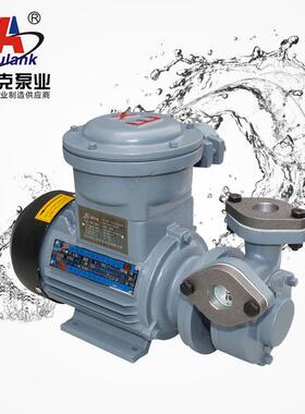 奥兰克RGP-20EX隔爆型高温泵小型模温机离心式高温锅炉增压泵