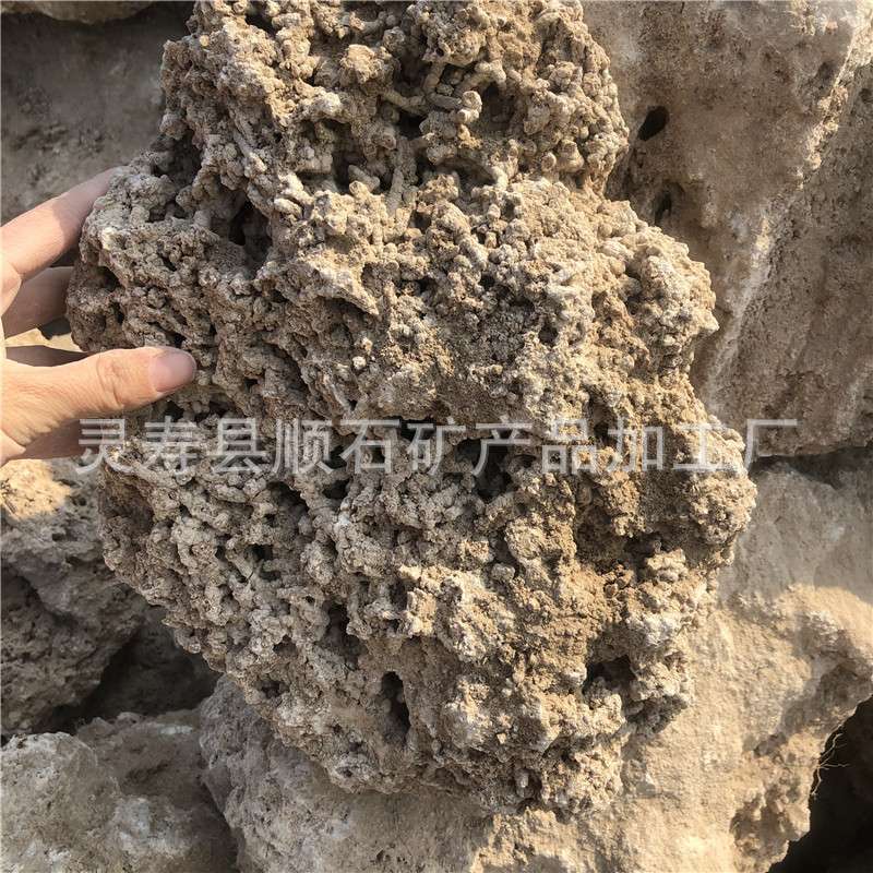 大量现货供应造景盆景用软质 吸水石 原石 上水石 麦管石