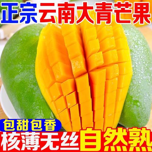 正宗大青芒果5斤热带大果核薄纯甜果园直发新鲜当季水果包邮整箱