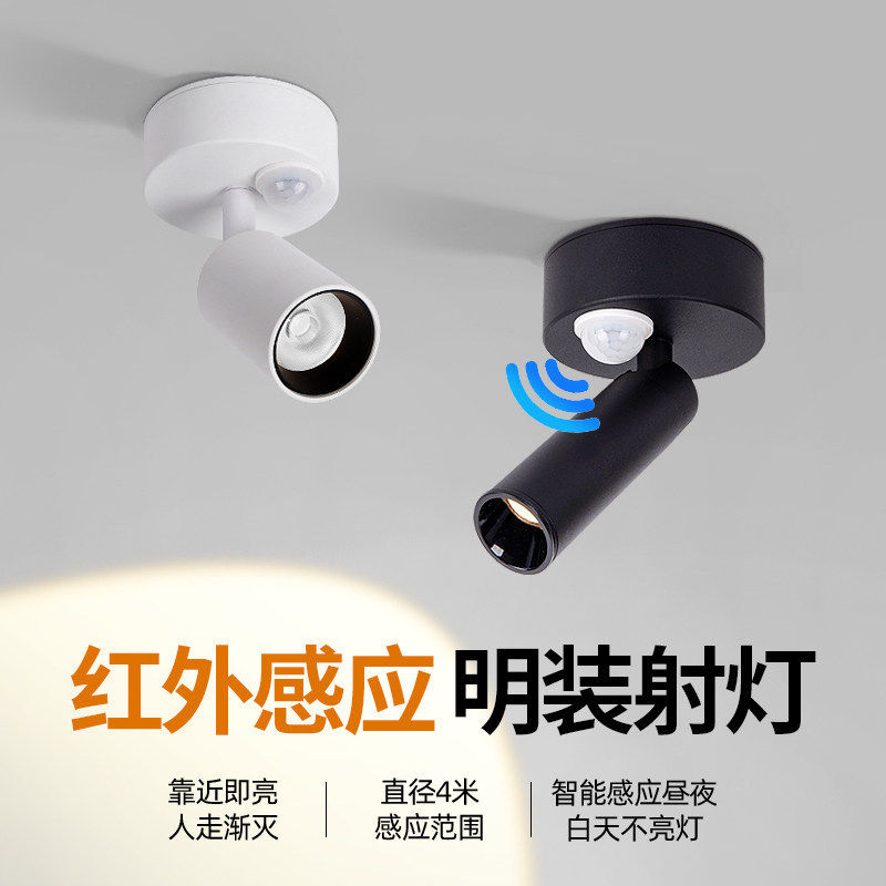 TRIAC可控硅人体感应灯自动高级入户门迎宾过道玄关走廊筒灯明装