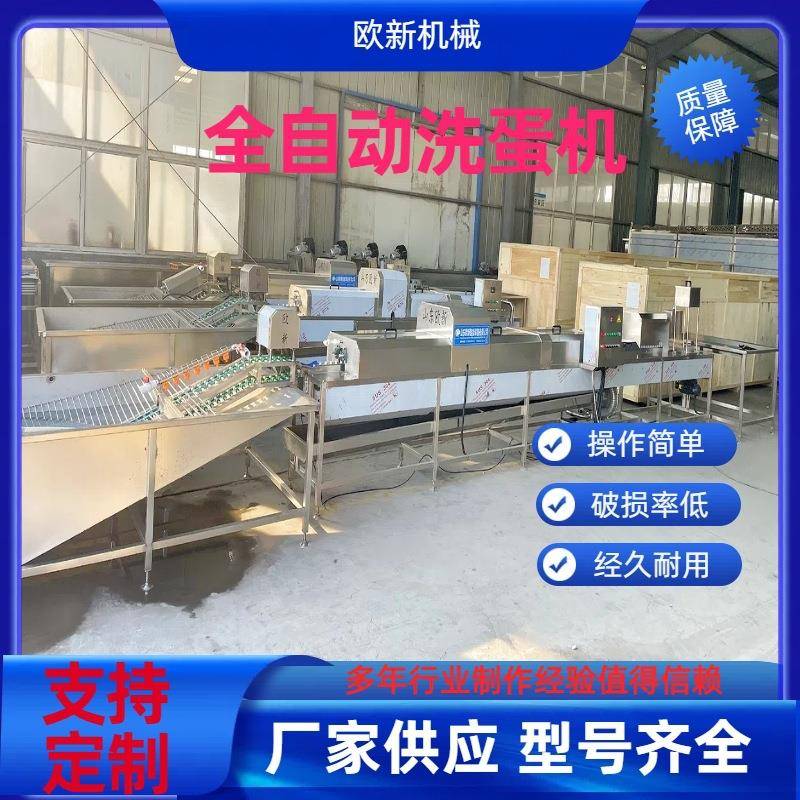 全自动鸡蛋洗蛋机保洁蛋清洗加工流水线商用泥蛋咸鸭蛋蛋品清洗机