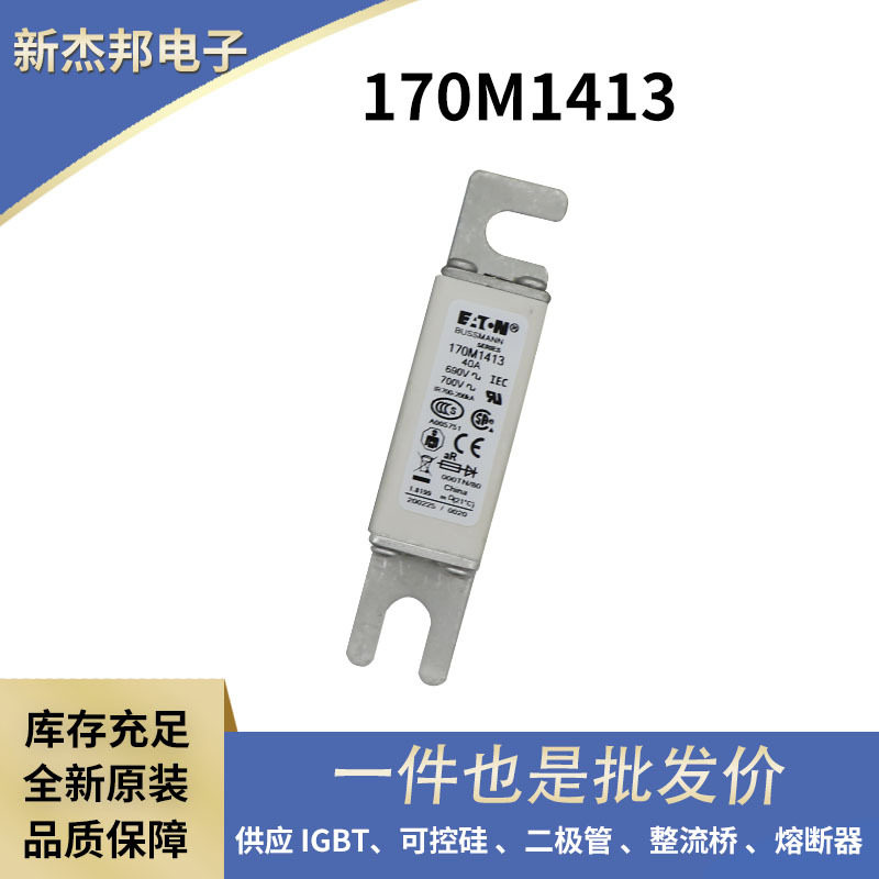 170M6929 170M6930 170M6936 170M6938原包快速熔断器 熔丝图片