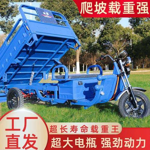 电动三轮车货车成人载货王拉货王电瓶加强接送孩子代步车两用新款