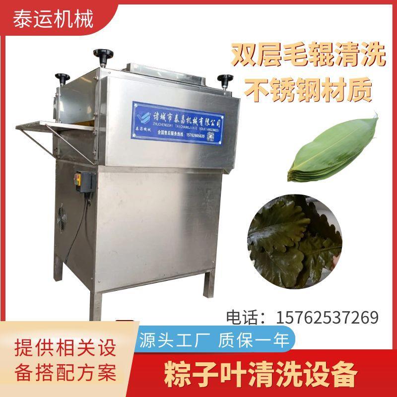全自动双层毛刷粽叶清洗机粽子叶清洗设备箬竹竹叶枇杷叶清洗机器