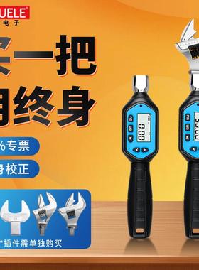 HEMUELE禾木迷你可换头数显扭矩扳手ZWK汽修螺丝拧紧扭力扳子检测