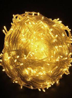 LED灯串100米2000灯彩灯闪灯串灯节日圣诞元旦户外装饰防水装饰灯