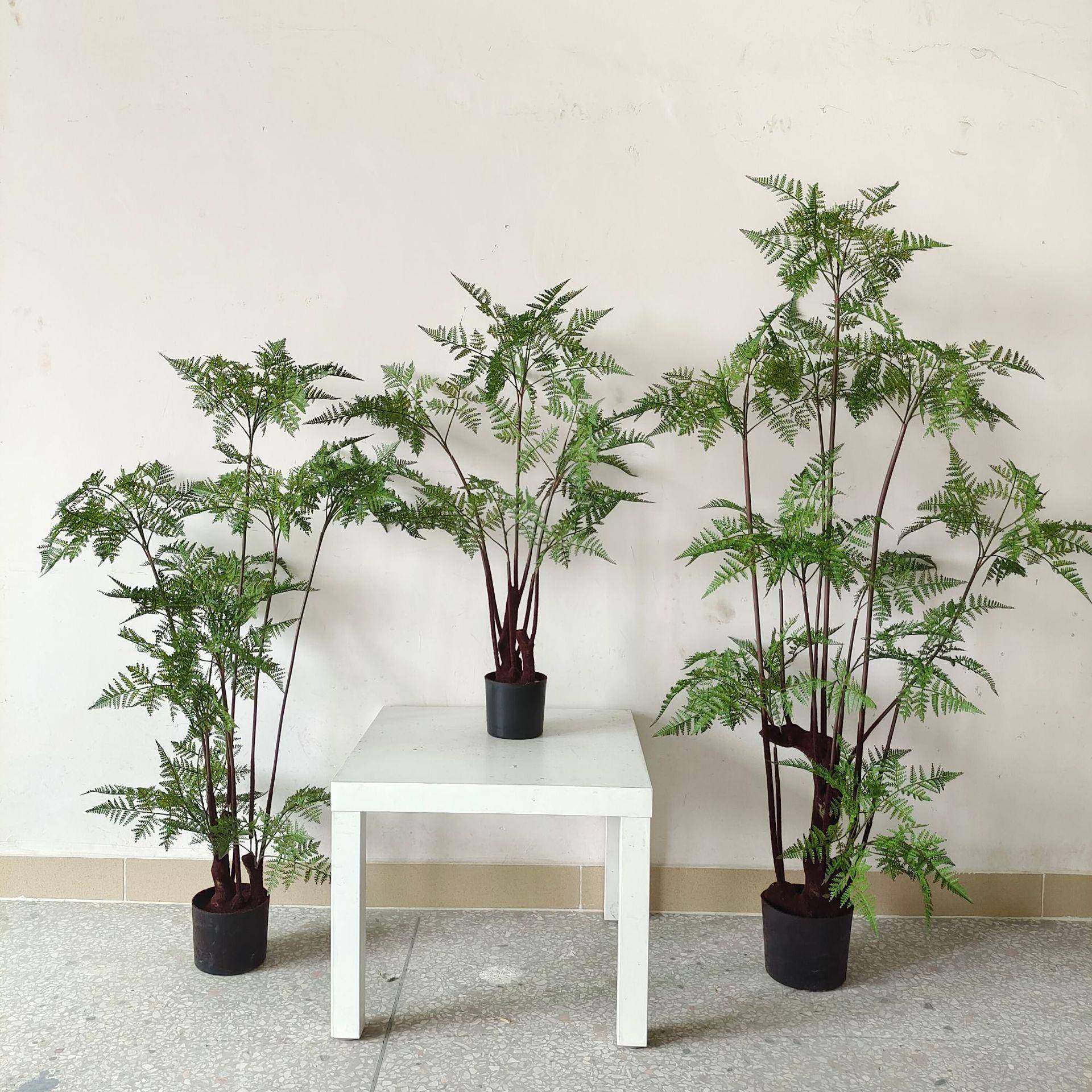 常青仿真绿植盆栽橱窗软装家居落地饰品设计造景仿真铁线厥文竹,农用物资,其他肥料,淘宝优惠券,粉丝福利购,淘宝优惠卷