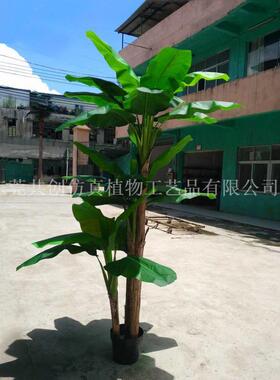供应盆栽植物仿真芭蕉叶居家摆件盆景装饰芭蕉果大叶芭蕉树