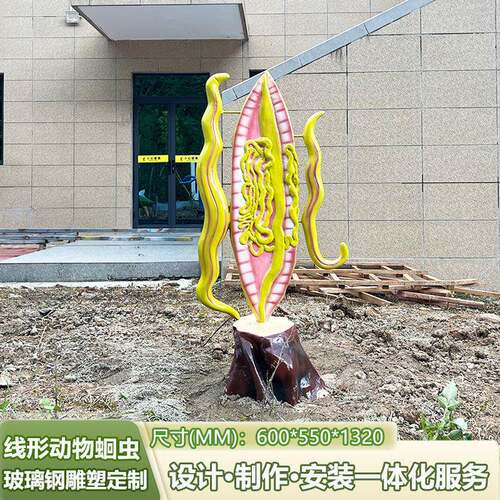 生物园八大生物教学模型棘皮动物海星模型学校生物知识普及摆件