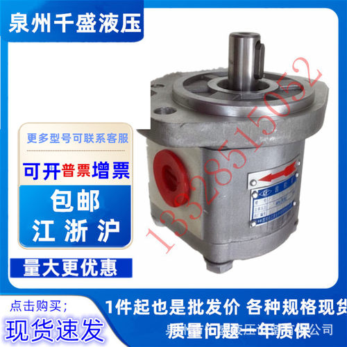 长江齿轮泵CBK1004 1006 1008 1010 1012 1016 1020 1025-B1FR/FL